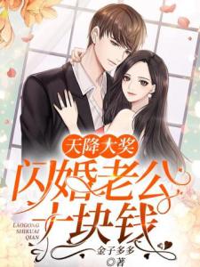 天降大奖：闪婚老公十块钱