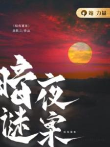 暗夜谜案