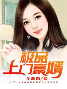 极品上门豪婿